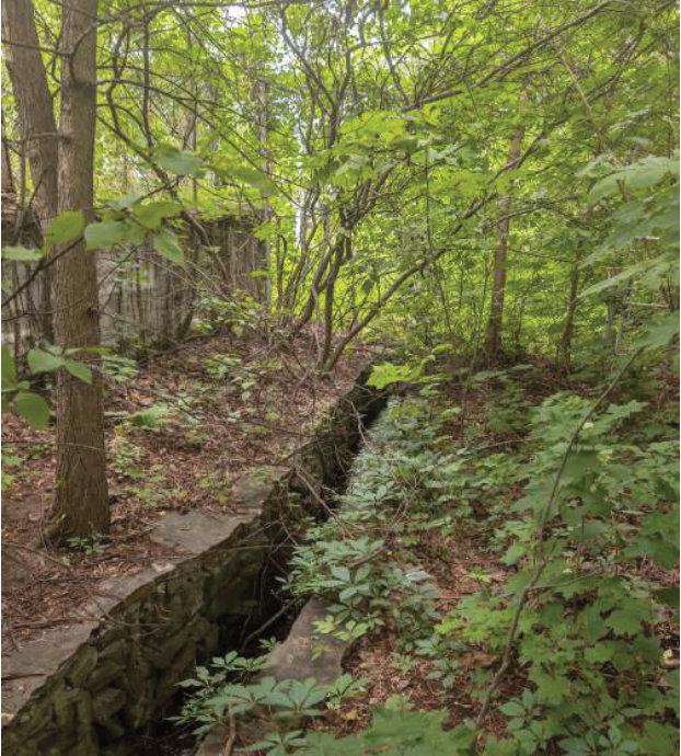 The creek today: an overgrown stone channel