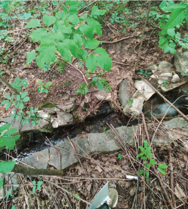 Stones and water in the creek