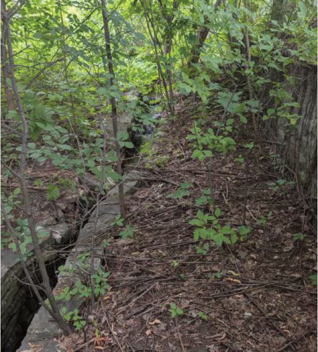 Low stone wall along the creek